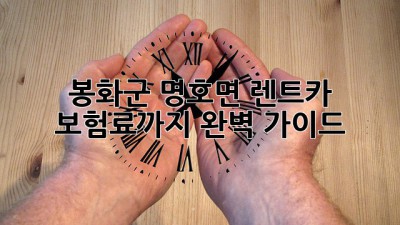 봉화군 명호면 렌트카, 보험료까지 완벽 가이드!
